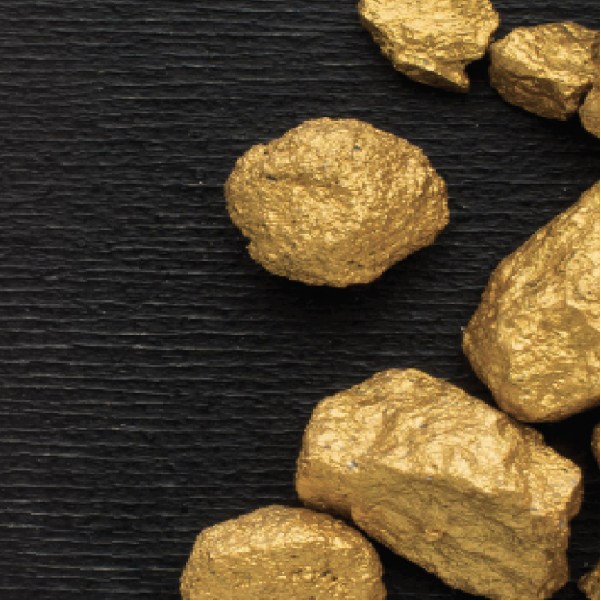 הוילה בנעלה גולד